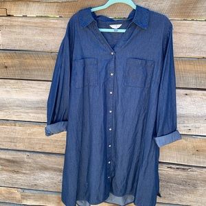 Plus Size 2X Jean-Like Dress